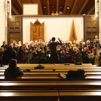 IMG_7823.jpg